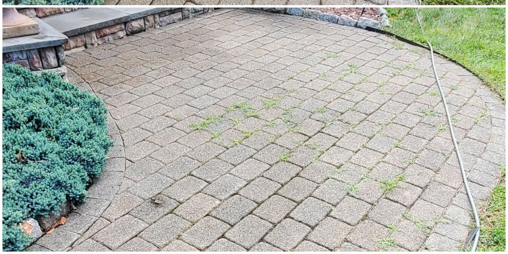 Paver patio with weeds and dirt in the joints, before cleaning